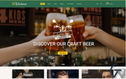 Wintenic - Drink Store WooCommerce Theme