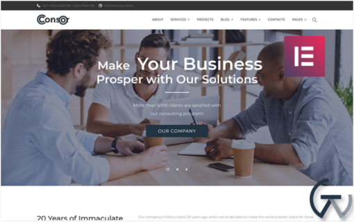 Consor Business Consulting Elementor WordPress Theme