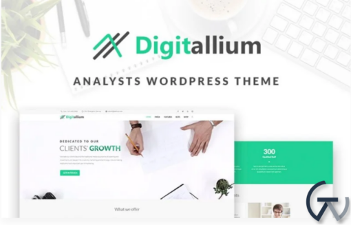 Digitalium Marketing Agency WordPress Theme