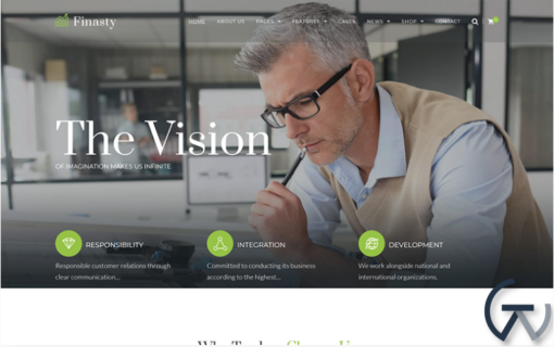 Finasty Efficient Business Services WordPress Theme