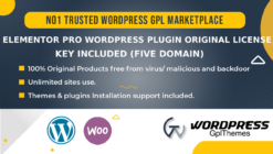 Elementor Pro WordPress Plugin Original License key Included (Five domain)