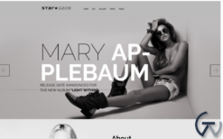 Stargaze - Media & Celebrity Responsive WordPress Theme