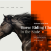 Elite Breed - Equestrian & Horse Riding Club WordPress Theme 3 Elite Breed Equestrian Horse Riding Club WordPress Theme