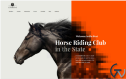 Elite Breed - Equestrian & Horse Riding Club WordPress Theme