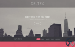Deltex WordPress Theme