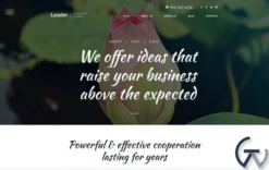 Leader WordPress Theme