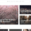 BitNews - Blog Magazine & News Portal WordPress Theme 3 56