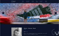 Steven Mosk - Modern artist personal portfolio WordPress Theme