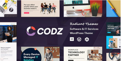Codz Software IT Services Theme