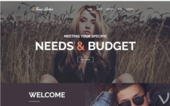 Tomi Solas WordPress Theme