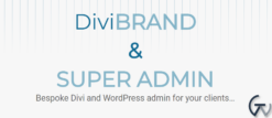 Divi Brand & Super Admin 1.2