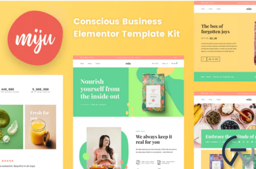 Miju Conscious Business Elementor Template Kit