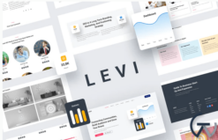 Levi - Digital Marketing Elementor Template Kit