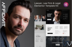 Affidavit – Lawyer & Law Firm Elementor Template Kit