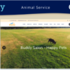 Buddy - Animal Service Elementor Landing page WordPress theme 2 Buddy Animal Service Elementor Landing page WordPress theme