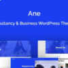 Ane Business Consulting WordPress Theme
