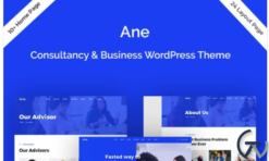 Ane-Business & Consulting WordPress Theme