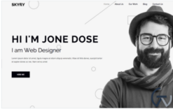 Skyflypro - Portfolio WordPress Theme