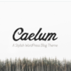 Caelum Minimalistic WordPress Theme
