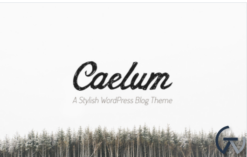 Caelum - Minimalistic WordPress Theme