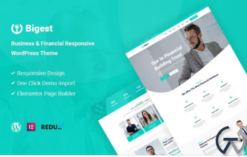 Bigest - Financial Responsive WordPress Theme