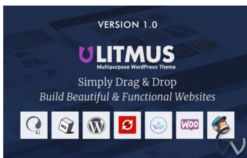 Litmus - Creative Multipurpose WordPress Theme