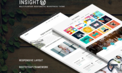 INSIGHT - Multipurpose Responsive WordPress Theme