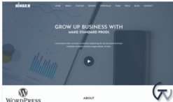 Kinger - Personal Business Portfolio Landing