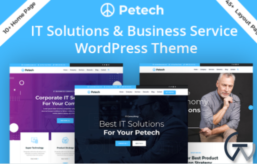 Petech IT Solution Business Service WordPress Theme