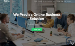 Raino - Digital Agency One page WordPress Theme