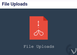 User Registration File Upload 1.3.13