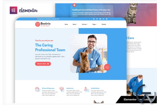 Beetrix Pet Clinic Hospital Elementor Template Kit