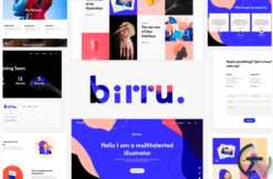 Birru - Simple Portfolio Elementor Template Kit