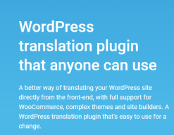 TranslatePress (Business) + Addon  2.9.5 + 1.6.2