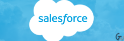 GiveWP – Salesforce 1.1.0