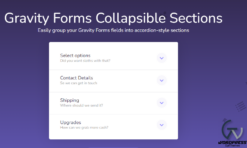JetSloth – Gravity Forms Collapsible Sections 1.2.23