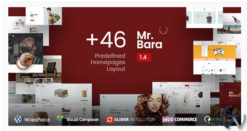 Mr.Bara - Responsive Multi-Purpose eCommerce WordPress Theme