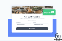 JetFormBuilder Pro – MailerLite Action Addon 1.0.4