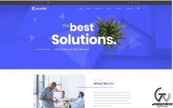 ConsultBiz - Financial Advisor Multipage Classic HTML Bootstrap Website Template