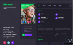 Bittanto - Creative Resume WordPress Theme