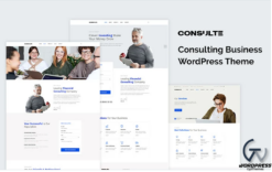 Consulte - Consulting Business FREE WordPress Theme