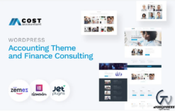 Cost Accountant - WordPress Accounting Theme and Finance Consulting