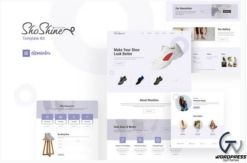 Shoshine - Cleaning Service Elementor Template Kit