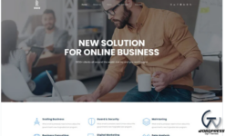 Roche - Business Consulting WordPress Theme
