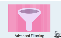 GravityView – Advanced Filter 4.1.0