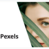 Pexels - Import Free Stock Images into WordPress 2 24. 10