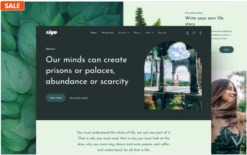 Ziga – Healer & Life Coach Elementor Template Kit(m)