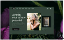 Zala – Lifestyle Coaching Therapy FREE Template(m)