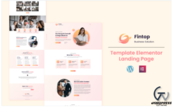 Fintop - Digital Business Solution Elementor Template(m)