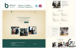 Bizzhub Consulting - Business Consulting Services Elementor Template Kit